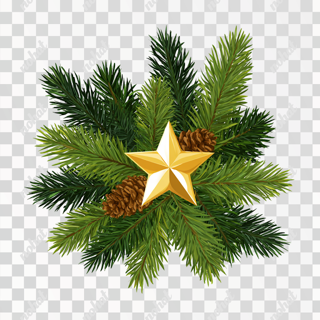 PNG Christmas Bouquet with Golden Star
