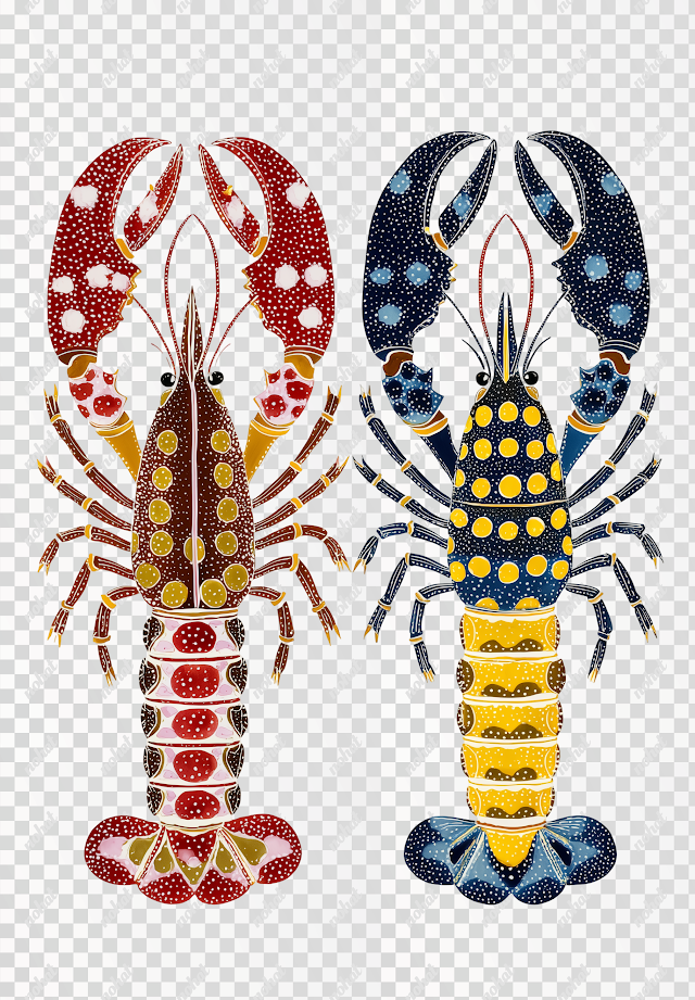 PNG Cute Crayfish Artwork in Abstract Style