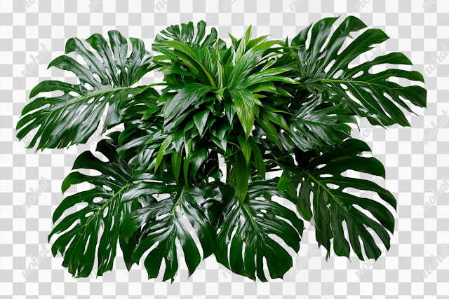 PNG Lush Tropical Foliage Arrangement