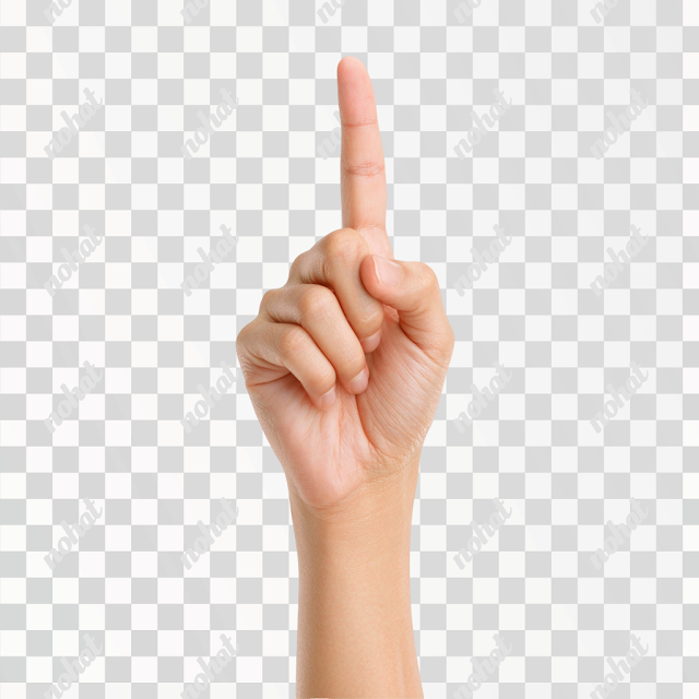PNG Minimalist Human Hand Gesture Photo