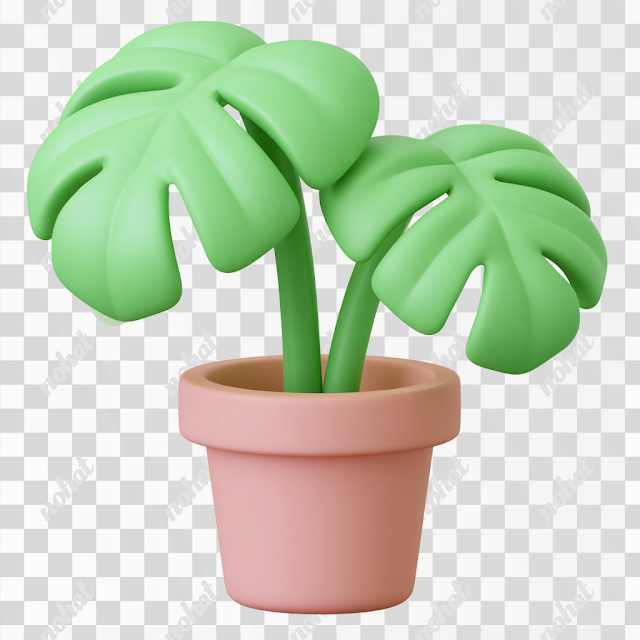 PNG Minimalistic 3D Monstera Plant