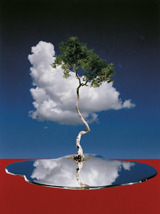 Reflective Tree in Surreal Landscape