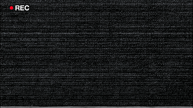 Retro VHS Recording Screen with CRT Scanlines