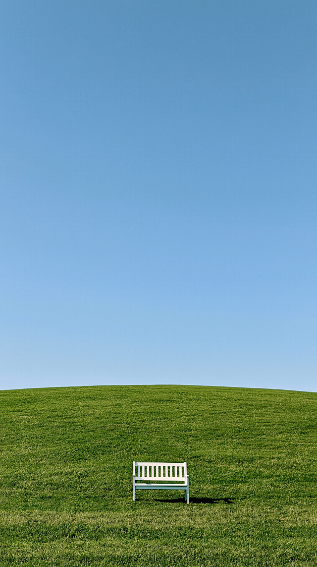 Serene Green Meadow with Minimalist Bench Under Clear Sky