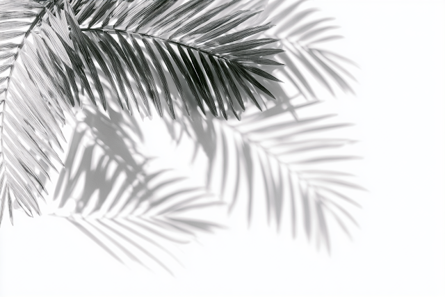 Serene Palm Leaf Shadows on White