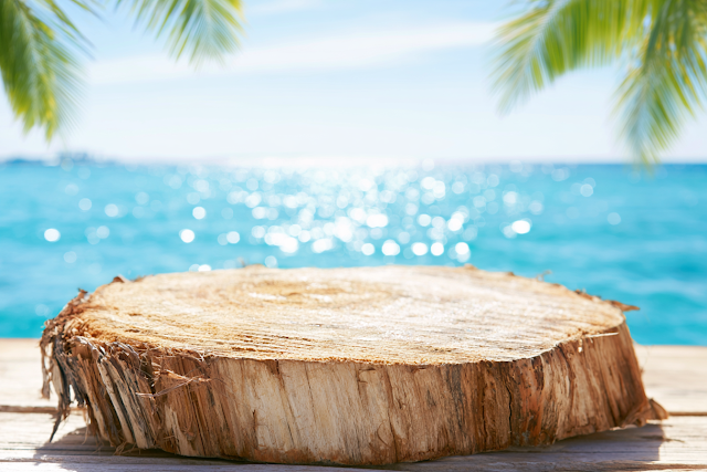 Serene Tropical Beach with Wooden Stump Tabletop