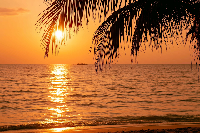 Serene Tropical Ocean Sunset