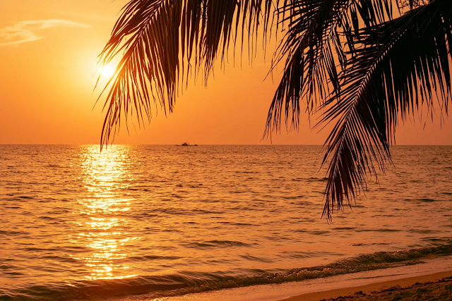 Serene Tropical Ocean Sunset with Silhouette