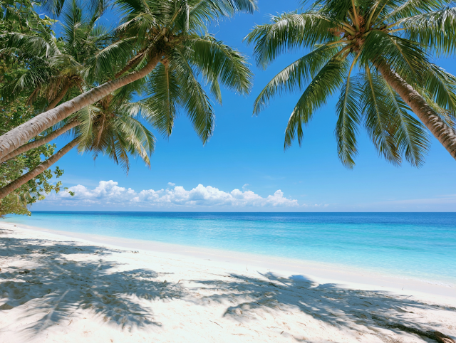 Serene Tropical Paradise Beach