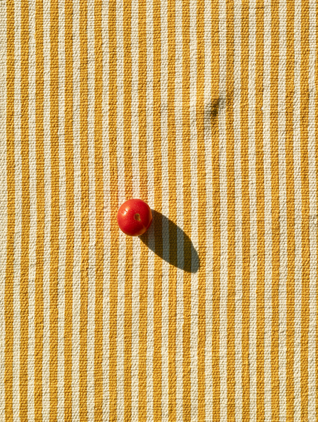 Single Red Heirloom Tomato on Striped Fabric