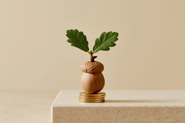 Symbol of Growth: Acorn with Oak Sprout on Gold Coins