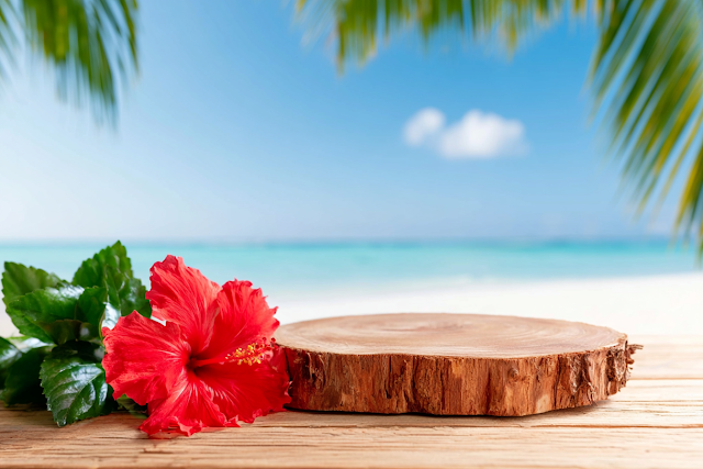 Tropical Beach Still Life with Hibiscus Flower
