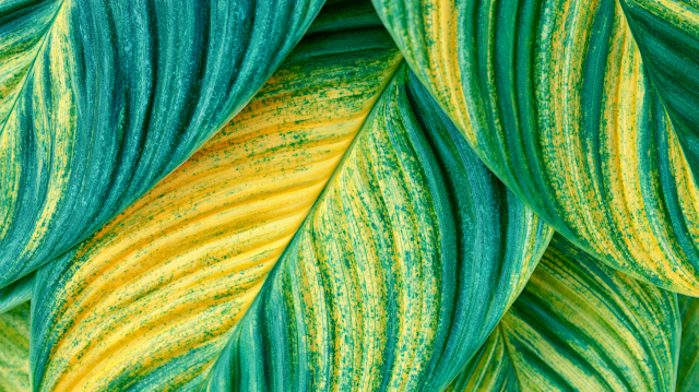 Tropical Foliage Close-Up
