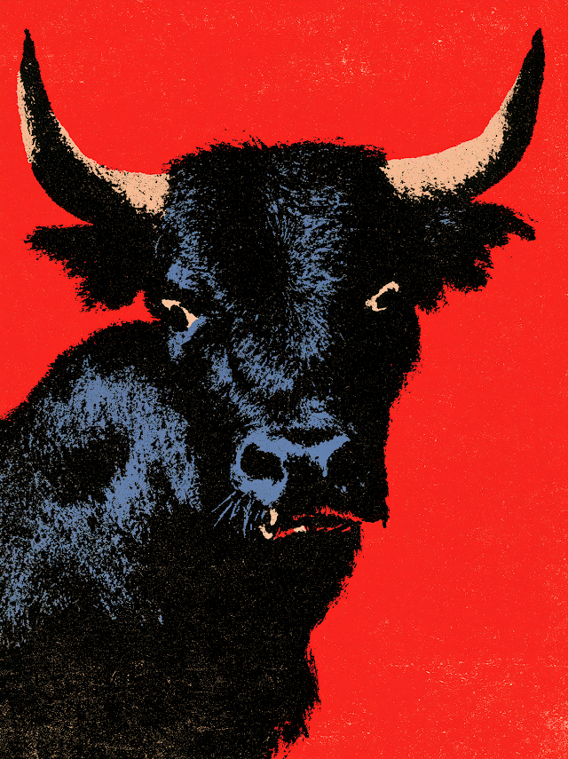 Vintage Bull Illustration Poster